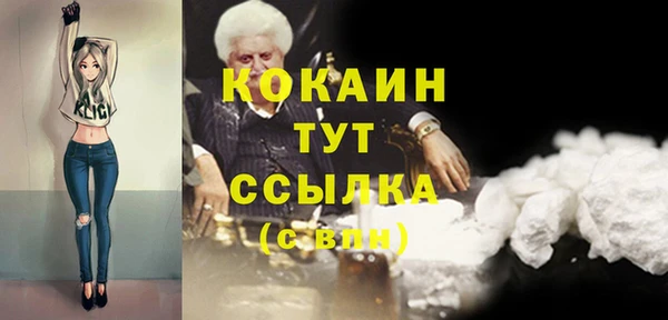 PSILOCYBIN Навашино