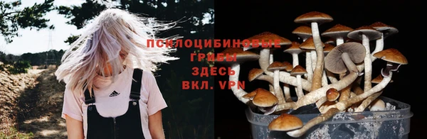 не бодяженный Покачи