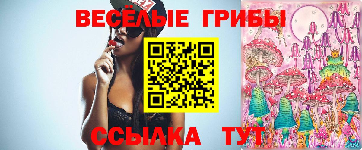 Галлюциногенные грибы прущие грибы  Грозный  Галлюциногенные грибы прущие грибы 