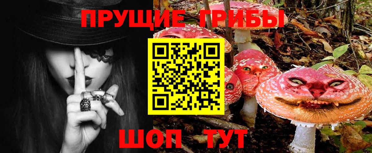 Псилоцибиновые грибы Psilocybe  как найти   Вход с VPN  Грозный  Псилоцибиновые грибы GOLDEN TEACHER 