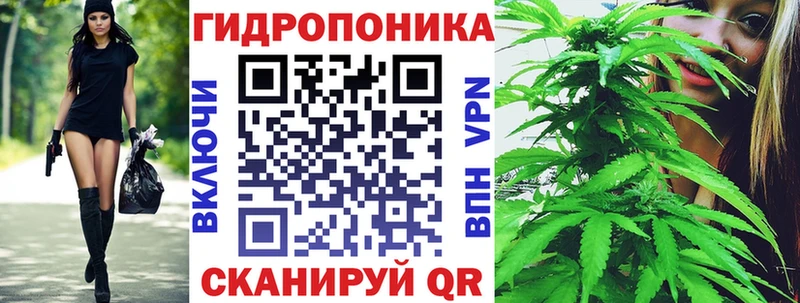 наркошоп  Грозный  Бошки марихуана тримм 